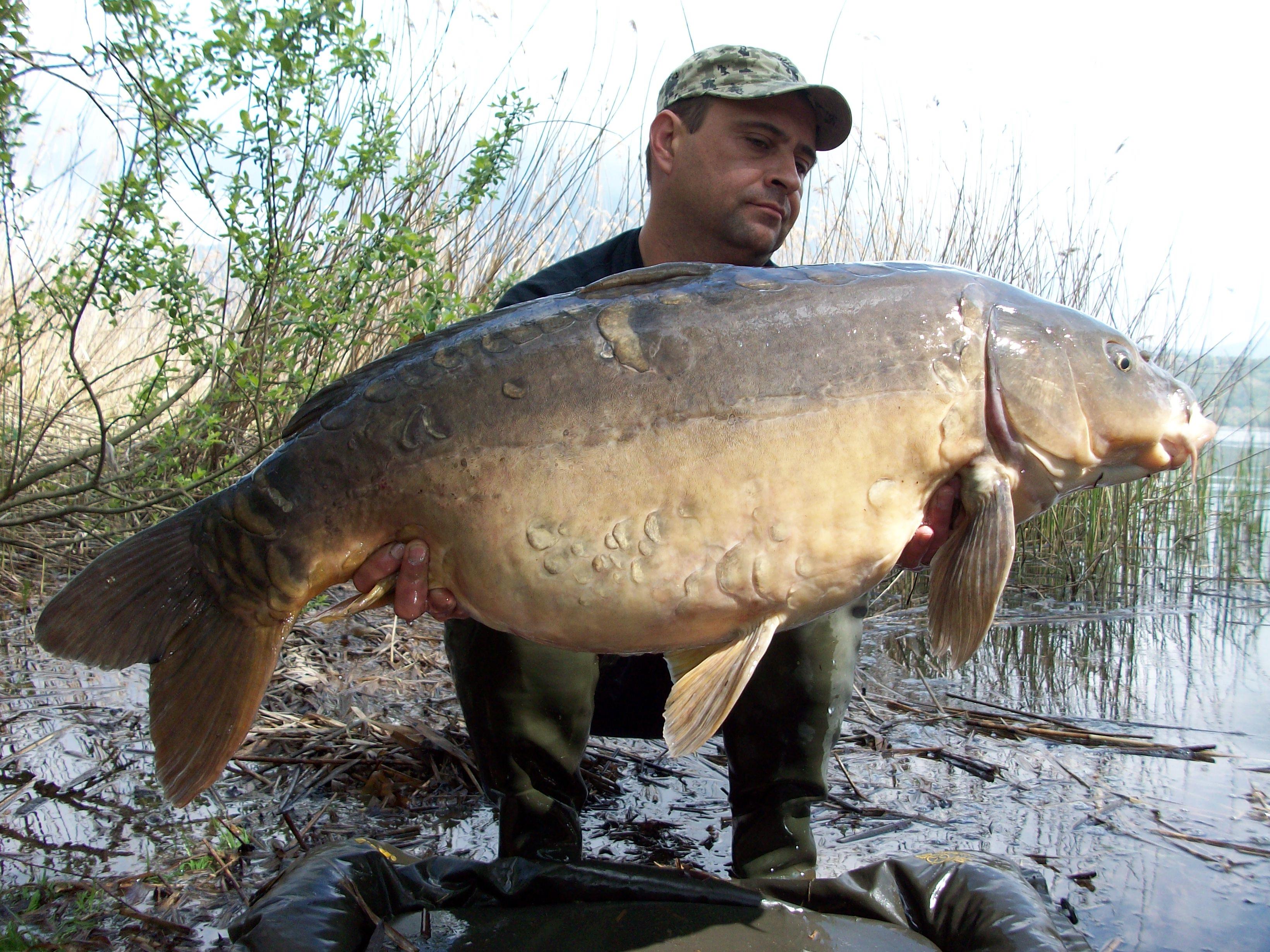 Carpfishing - 100_2636.JPG